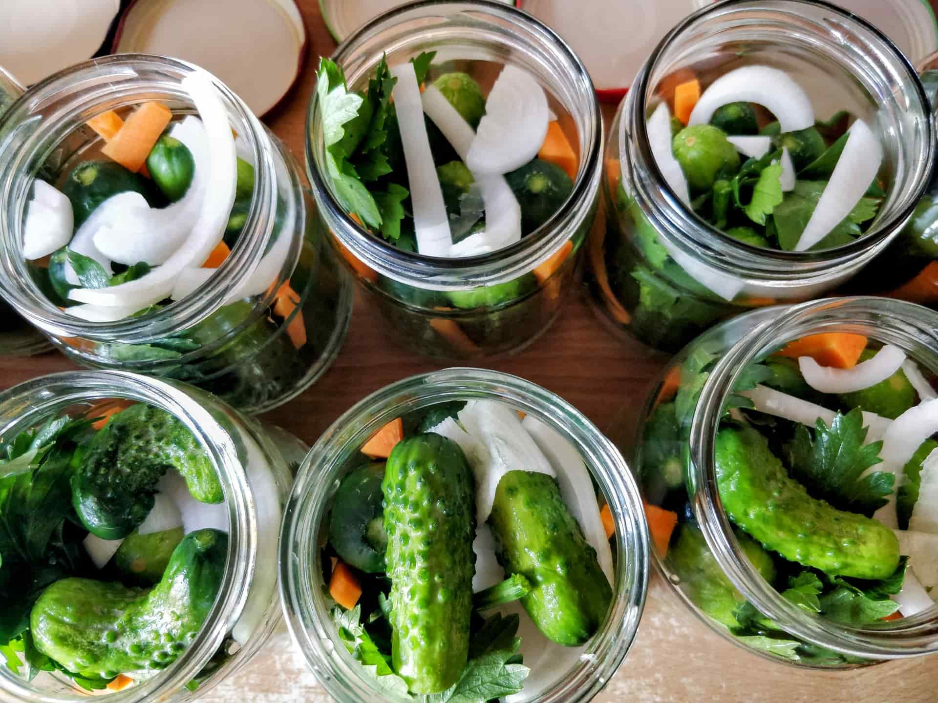 Fresh cucumbers and vegetables packed into pickling jars